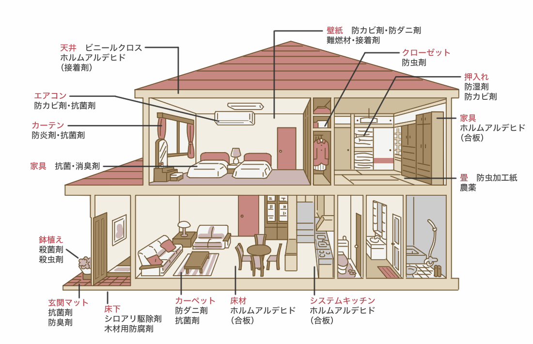 自然素材の健康住宅